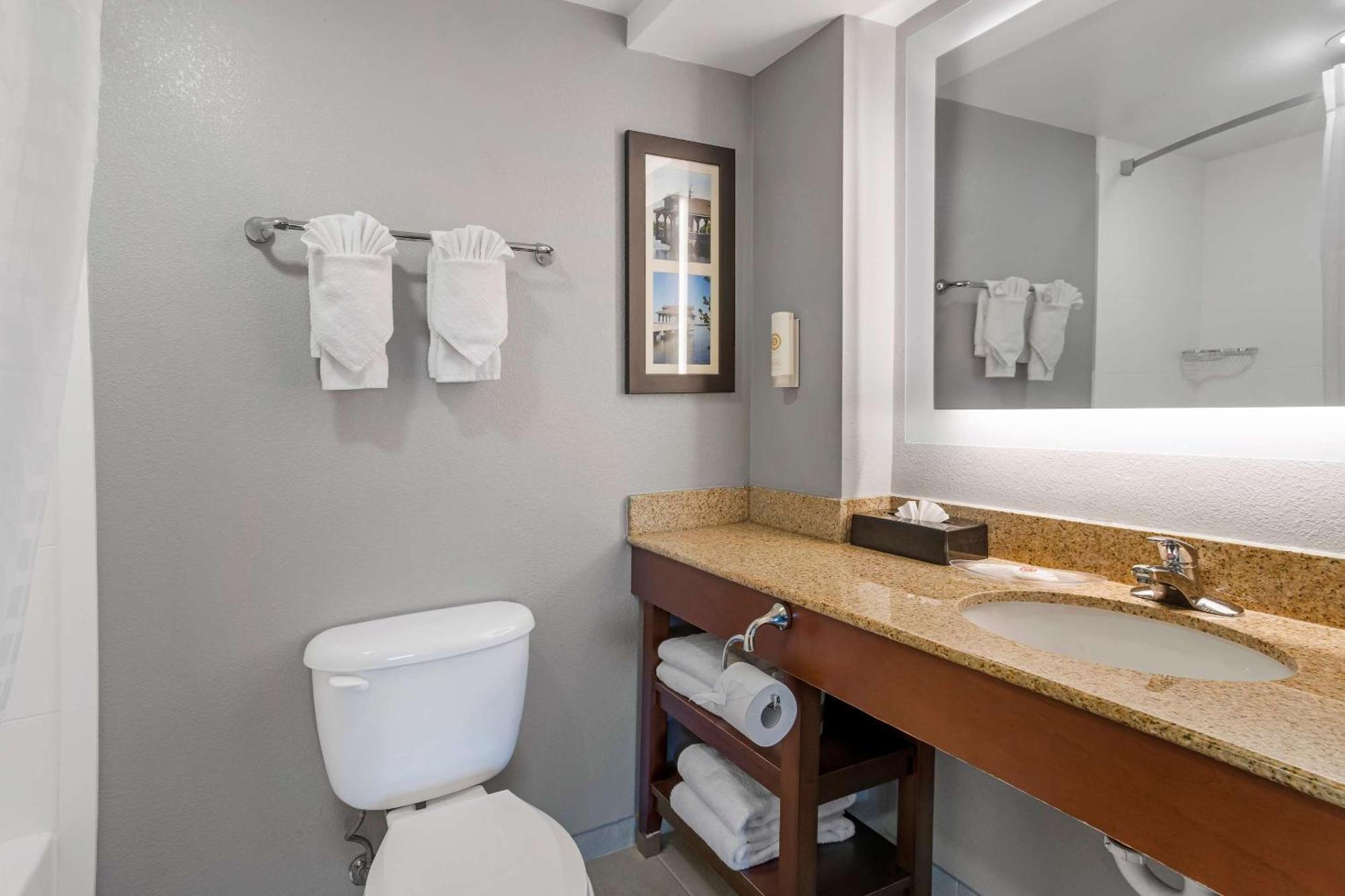 Comfort Suites Near Birkdale Village- Huntersville Ngoại thất bức ảnh